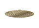 Aspire Air 300mm Shower Head Brushed Brass