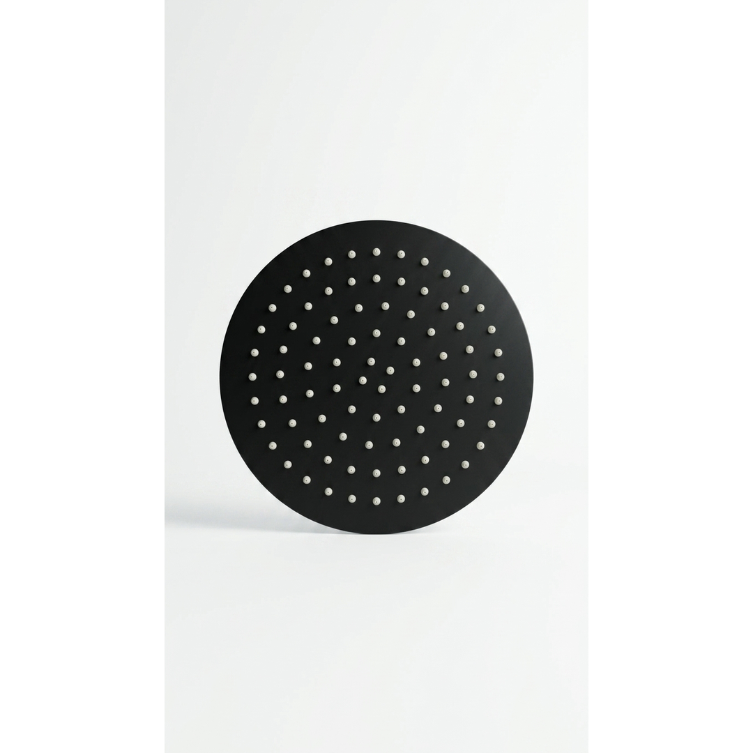 Aspire Within 250Mm Ss Round Shower Head Matte Black