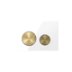 Belbagno Dual Flush Plate White Glass Gold Buttons Bb-1104-Wg-Bg