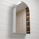 Aulic Canterbury Shaving Cabinet Matte White