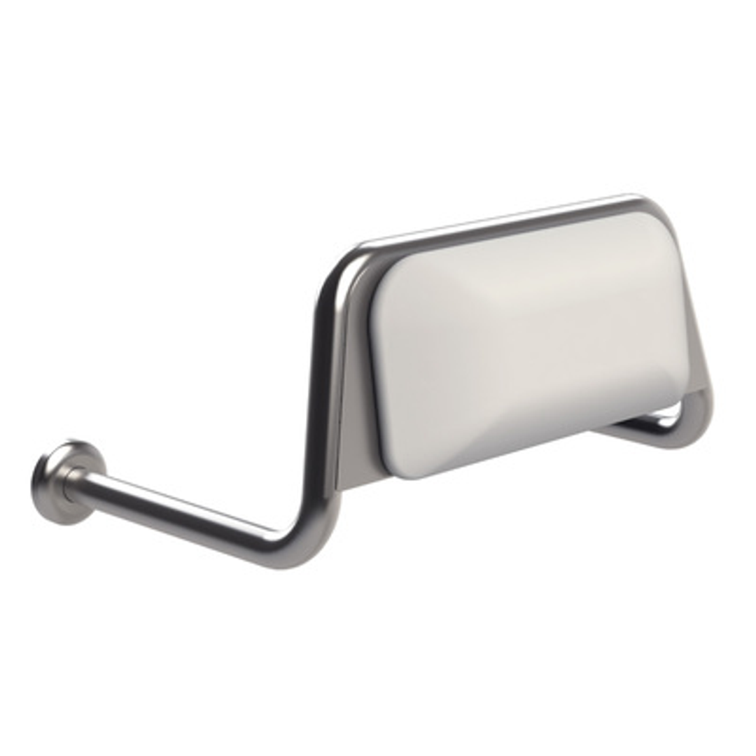 Fienza Stainless Steel Back Rst For Pwd Toilet 200990