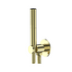 Greens Optima Plus Modular Pin Handshower Brushed Brass