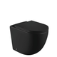 Fienza Koko Black Wall Faced P Trap Suite