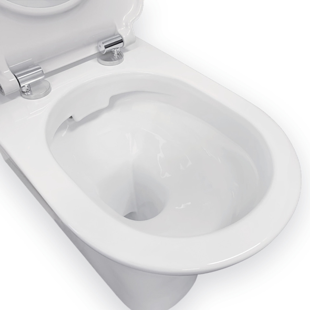 Fienza Delta Care Back To Wall Toilet Suite White Single Flap Seat Raised Buttons  K013Wa