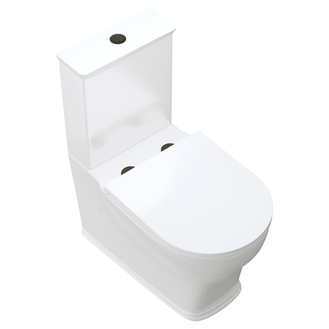 Fienza Lillian Tornado Flush Back to Wall P Trap Toilet Suite Gloss White with Slim Seat