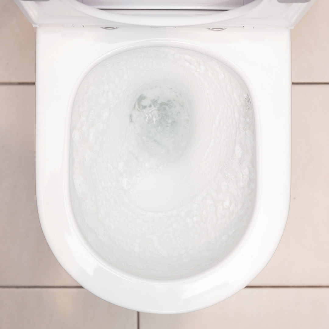 Fienza Aluca Tornado P-Trap Btw Toilet Suite 4 Star Rated 4.5/3L Thick Seat