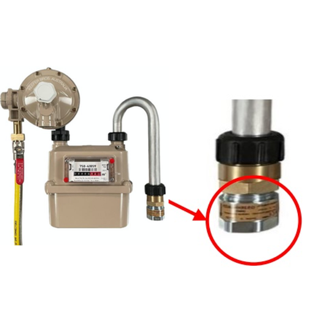 Excess Gas Flow Valve