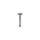 Meir Round Ceiling Shower Arm 150Mm Champagne