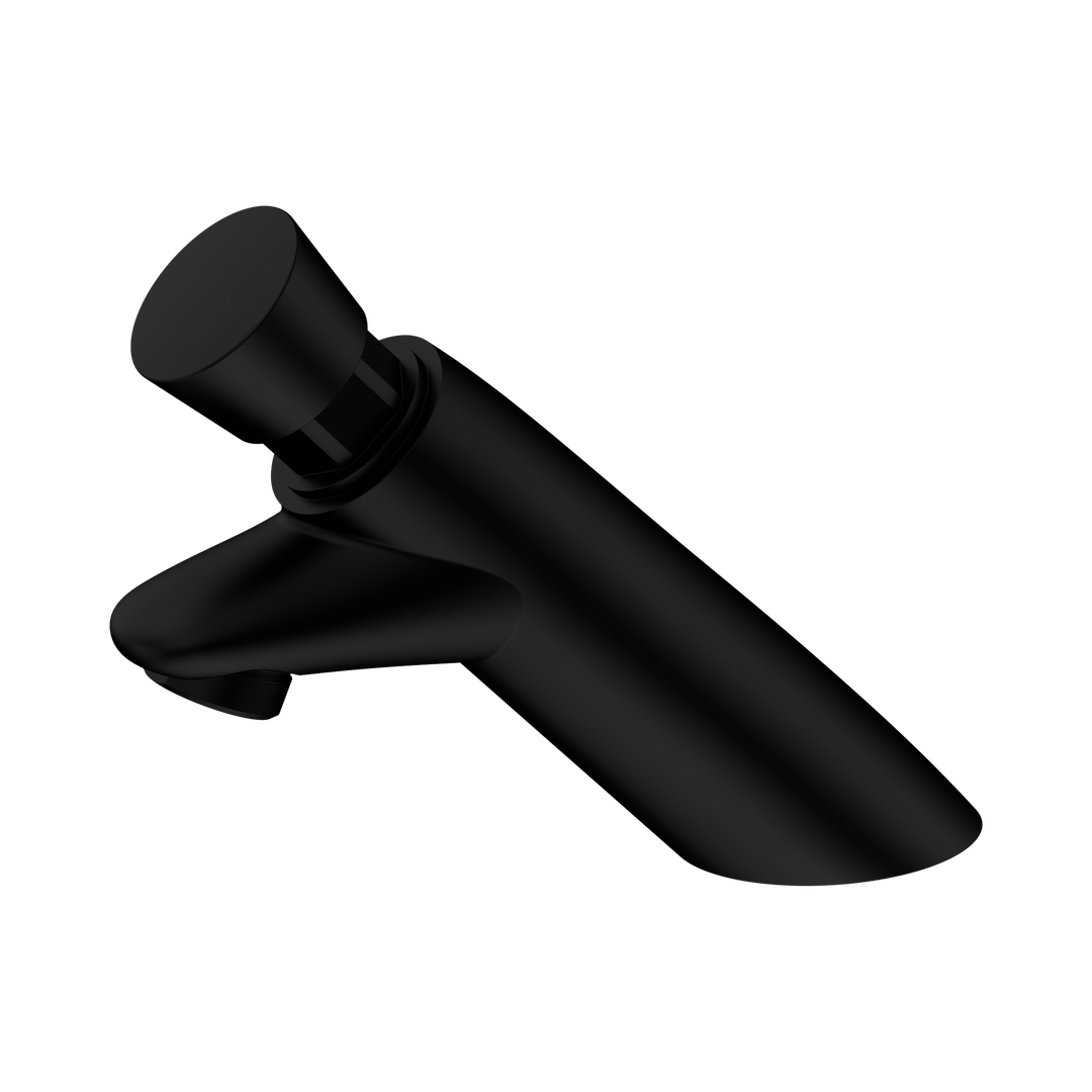 Nero Ss316 Lead Free Timeflow Push Button Pillar Tap Pvd Black