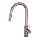 Nero Mecca Pull Out Sink Mixer With Vegie Spray Function Brushed Bronze Nr221908Bz