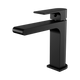 Nero Bianca Basin Mixer Straight Spout Matte Black