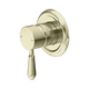 Nero York Shower Mixer With Metal Lever Aged Brass