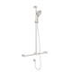 Nero Mecca Care Brushed Nickel 32mm T Bar Grab Rail And Adjustable Shower Set 1100X750mm
