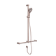 Nero Mecca Care Brushed Bronze 32mm T Bar Grab Rail And Adjustable Shower Set 1100X750mm
