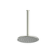 Greens Lavish Brass Ceiling Shower Pvd Brushed Nickel