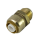Sharkbite Compression Adaptor