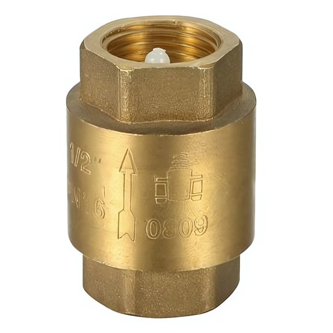 Spring Loaded Check Valve