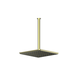Greens Skyla Ceiling Shower Pvd Brushed Brass