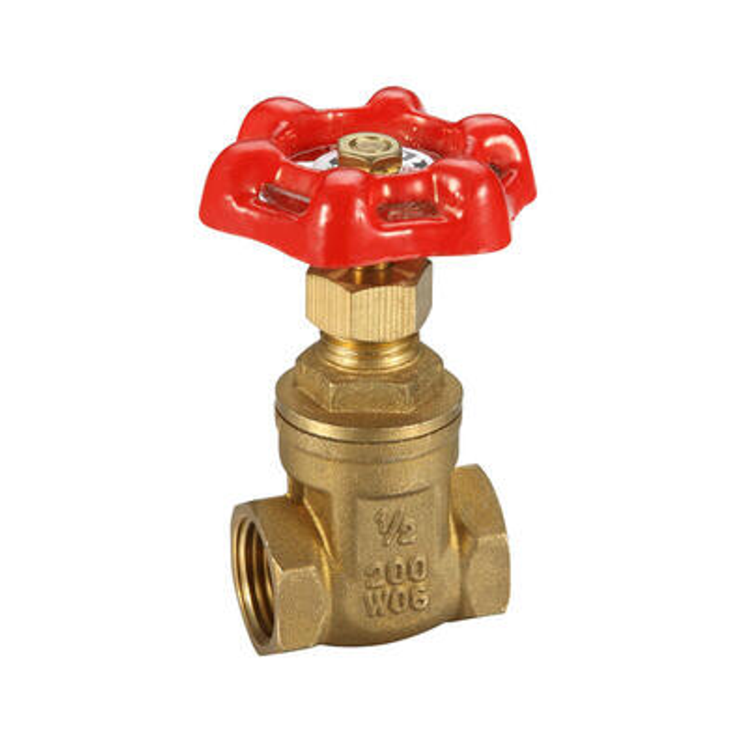Gate Valve Untested