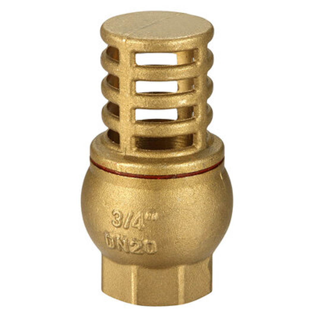 Brass Foot Valve 25Mm Untested
