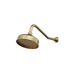 LINSOL Vintage Brass Shower Head And Wall Arm - Brushed Brass