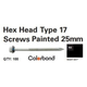 Hex Head Wood #17 Screw With Neo 12#X25 (100) Night Sky     (Eb)