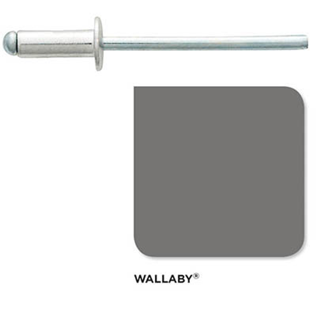 Blind Rivets 4-3 (3.2x4.8) (1000 Pack) Colorbond