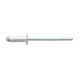 Blind Rivets 4-3 (3.2x4.8) (100 Pack)