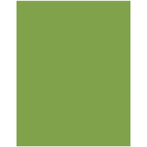 Akril Gloss Sheet 920mm X 2000mm X 6mm Splashback Olive Grove - Burdens Plumbing
