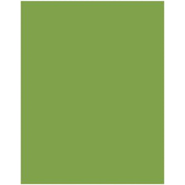 Akril Gloss Sheet 920mm X 2000mm X 4mm Splashback Olive Grove - Burdens Plumbing