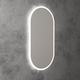 Aulic Beau Monde Oblong Led Mirror Brushed Gold