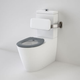 Caroma Care 800 Clean Flush W/F Suite C/W Pedigree II Seat & Back Rest
