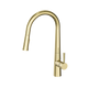 Enhance Nobel Plus Pull Down Sink Mixer Pin Lever Brushed Gold