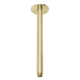 Phoenix Vivid Ceiling Arm Only 300mm - Brushed Gold