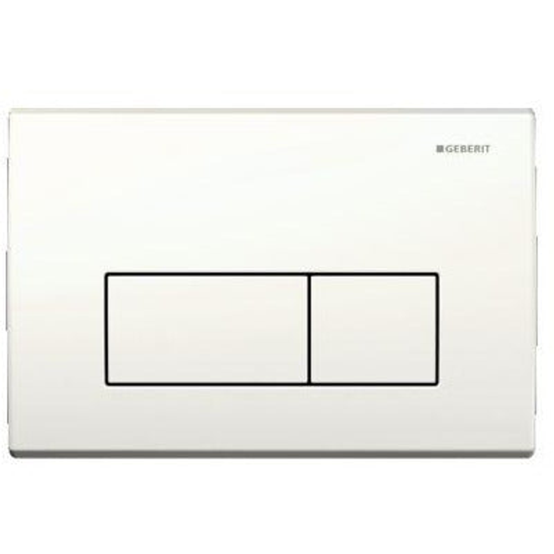 Kappa 50 Dual Flush Plate White