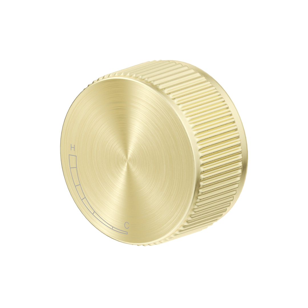 Bella Vista Mica Fluted Progressive Shower Mixer French Gold