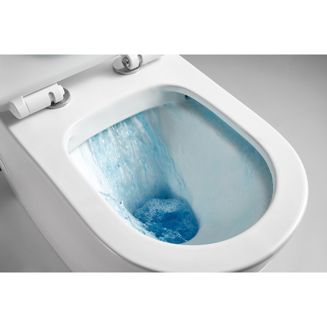 Bnk Inwall Toilet Wall Hung Pan Universal Installation Rimless Matte White