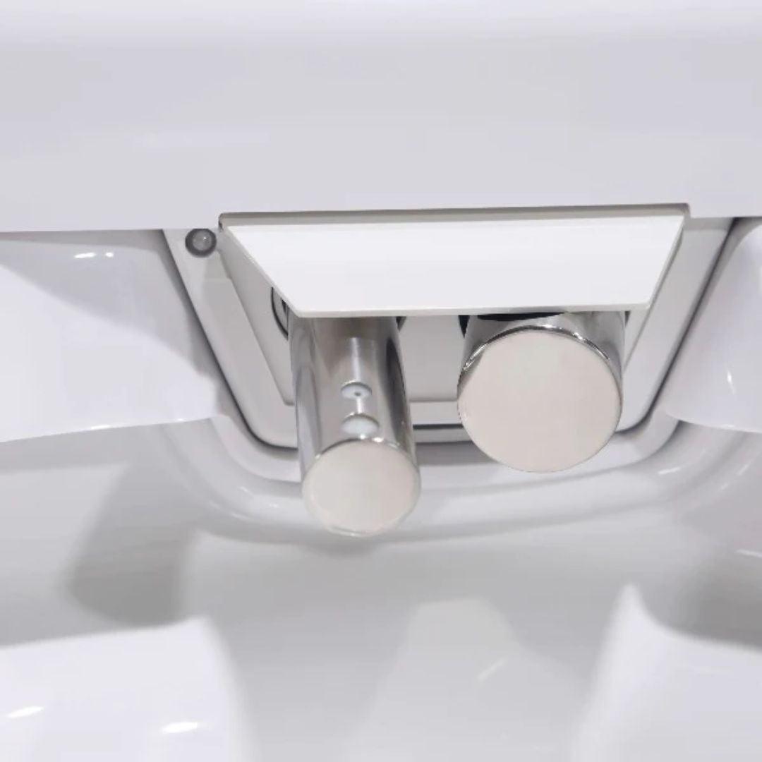 Lafeme Bloc Entire Smart Toilet 650X400X450mm - Burdens Plumbing