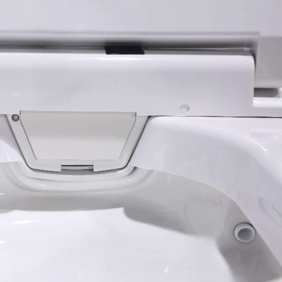 Lafeme Bloc Entire Smart Toilet 650X400X450mm - Burdens Plumbing