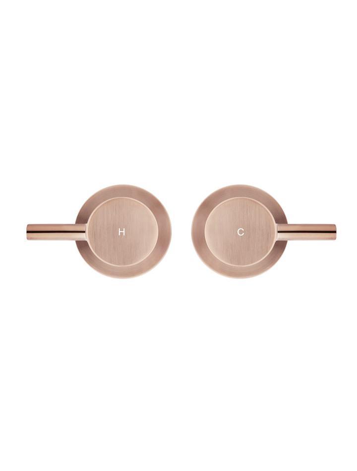 Meir Round Quarter Turn Wall Top Assemblies Champagne - Burdens Plumbing