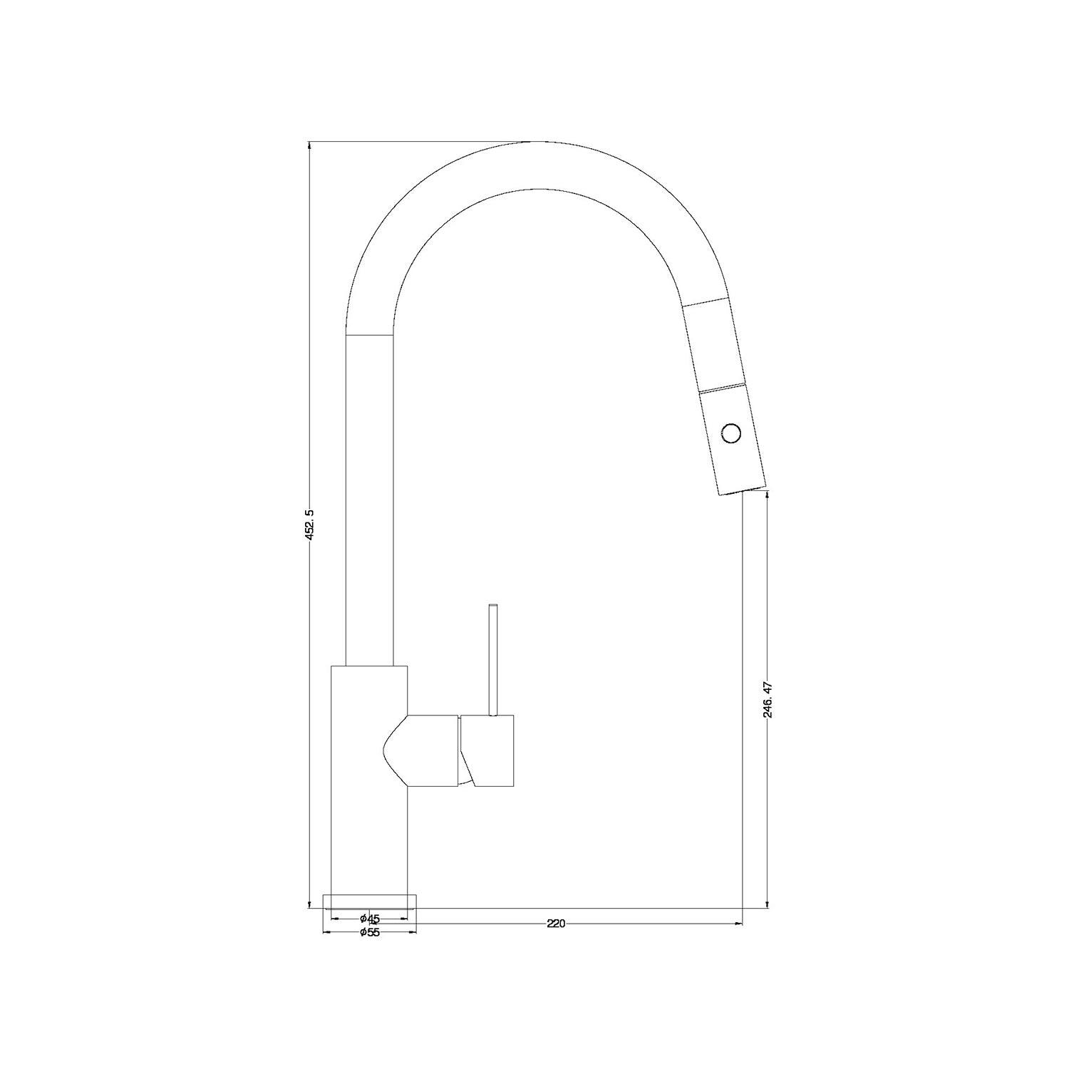 Nero Mecca Pull Out Sink Mixer With Vegie Spray Chrome - Burdens Plumbing